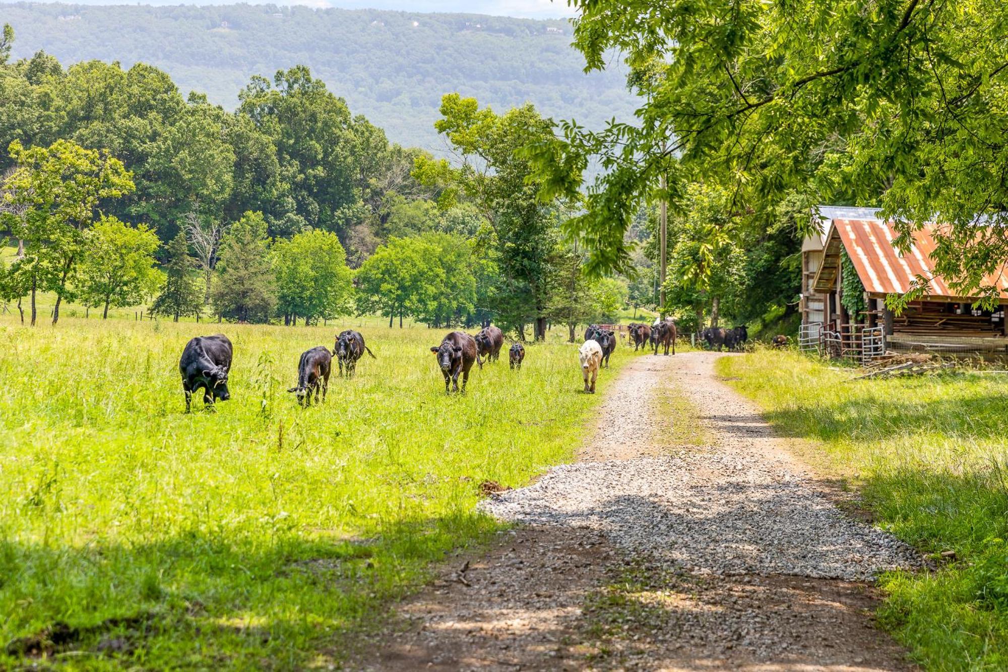 Quail Run Farm Pool Home Чатануга Екстериор снимка